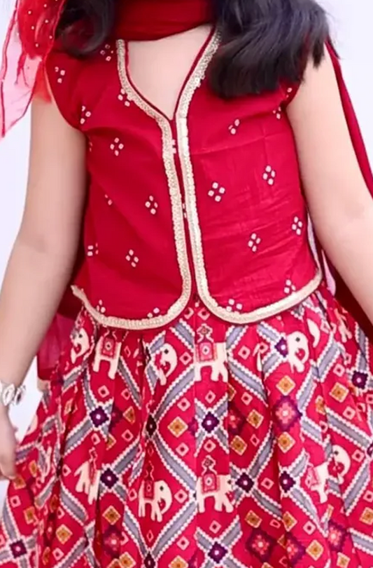 Red Patola Girls Lehenga Set
