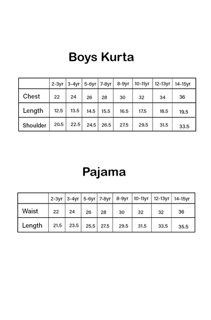 Indigo Imprint Boys Kurta Set