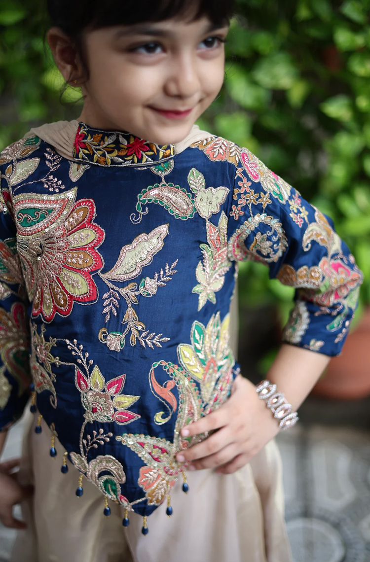 Royal Raag Girls Palazzo set